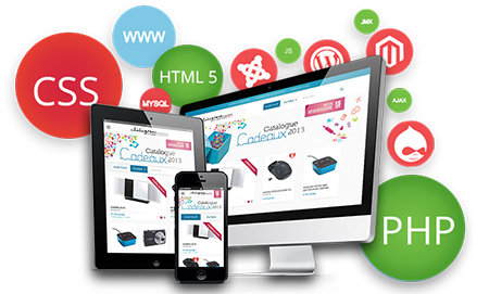Website Design and Development Company ...damiestechnologies.com
